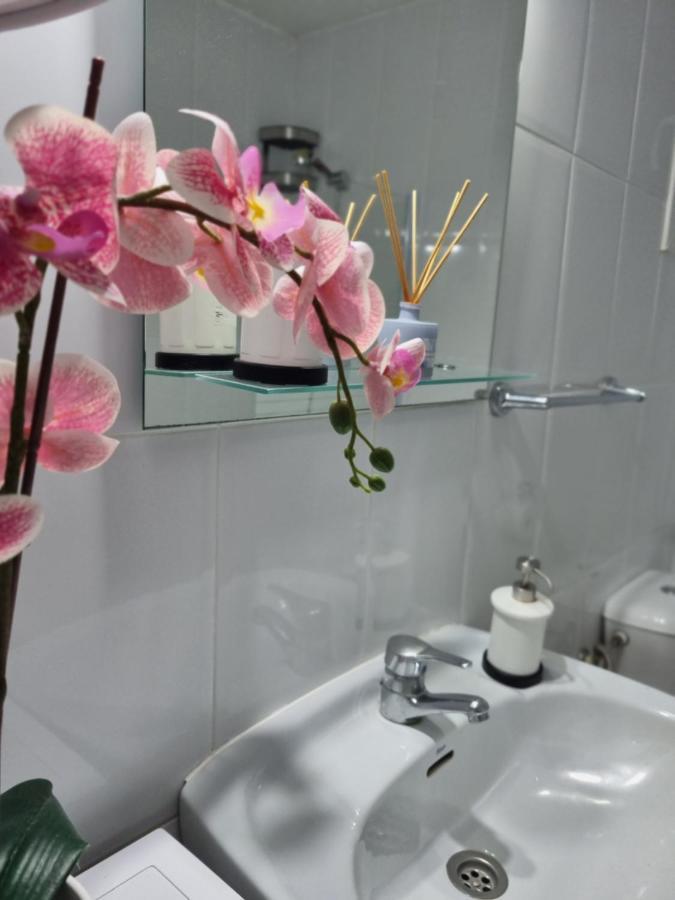 Wonderful Appartement In Son Baulo/Can Picafort Can Picafort  Dış mekan fotoğraf